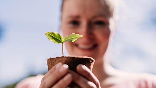 A person holding a small plant  Description automatically generated